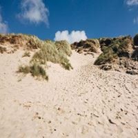 A picture of a beach dune.
