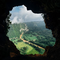 A picture of a valley from the mouth of a cave.